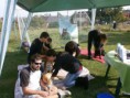 /album/smaragd-agility-kupa/p9220176-2-jpg/